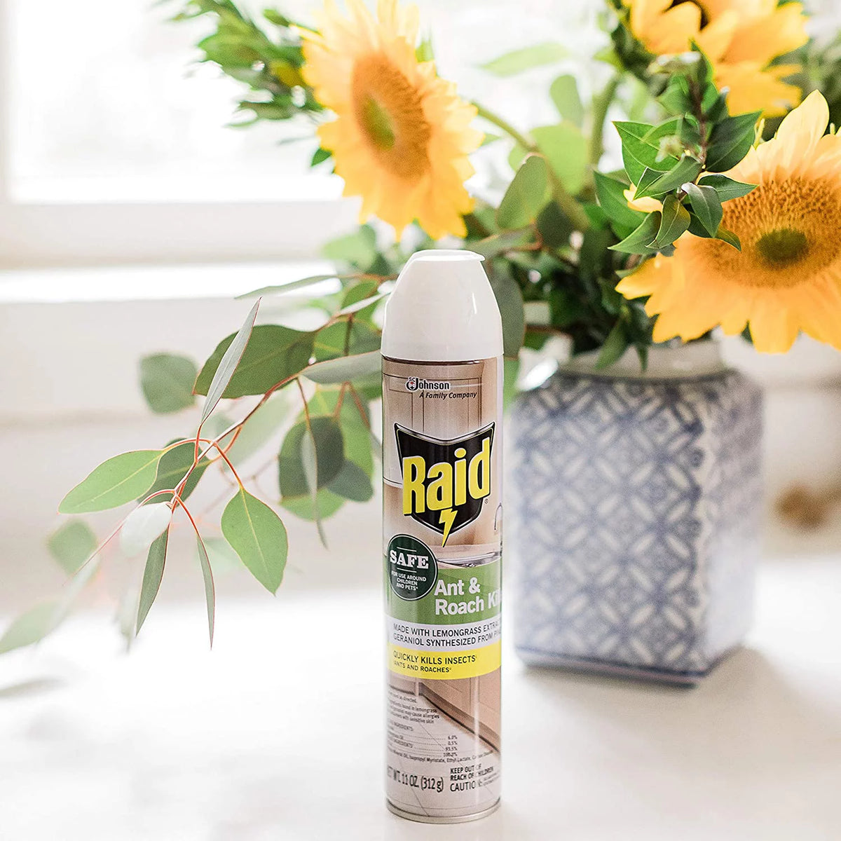 Raid Ant and Roach Killer, Aerosol Spray with Essential Oils (12)