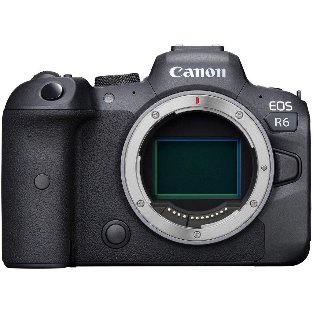 Canon EOS R6 Mirrorless Digital Camera with RF 24-105mm STM + 75-300mm Lens + SanDisk 128GB Card + Case + ZeeTech Accessory