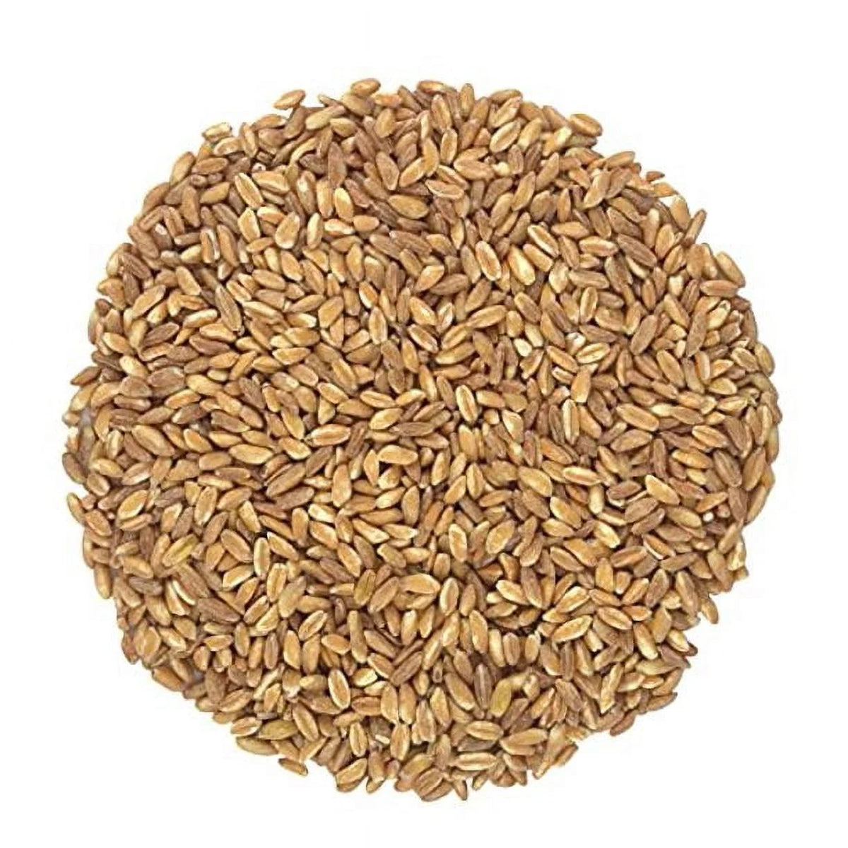 Organic Italian Pearled Farro - Raw, Non-GMO, Vegan, Bulk, Protein, Fiber Rich, Kosher (9LB)
