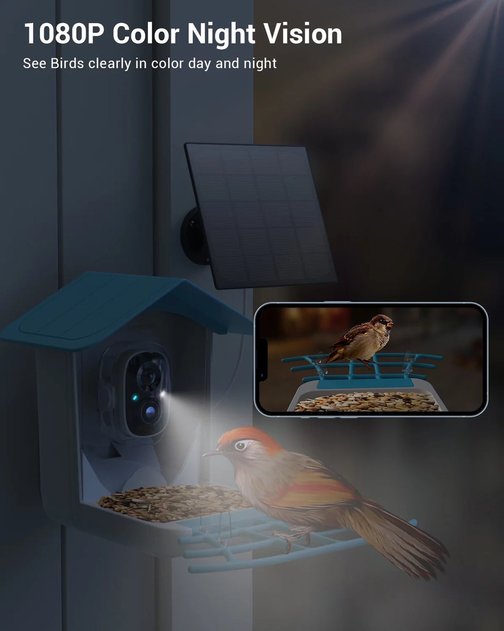 TMEZON Smart Bird Feeder with Camera, Bird Feeder House with 1080P Battery Security Camera Solar Powered Auto Capture Bird Videos Wireless Outdoor