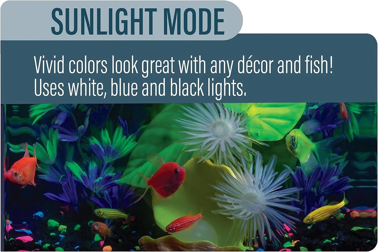 LED Light 5 Gallons, Blue And White LED Lights, For Aquariums Up To 5 Gallons, Model:29028