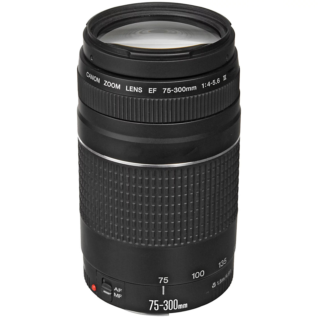 Canon EOS R6 Mirrorless Digital Camera with RF 24-105mm STM + 75-300mm Lens + SanDisk 128GB Card + Case + ZeeTech Accessory