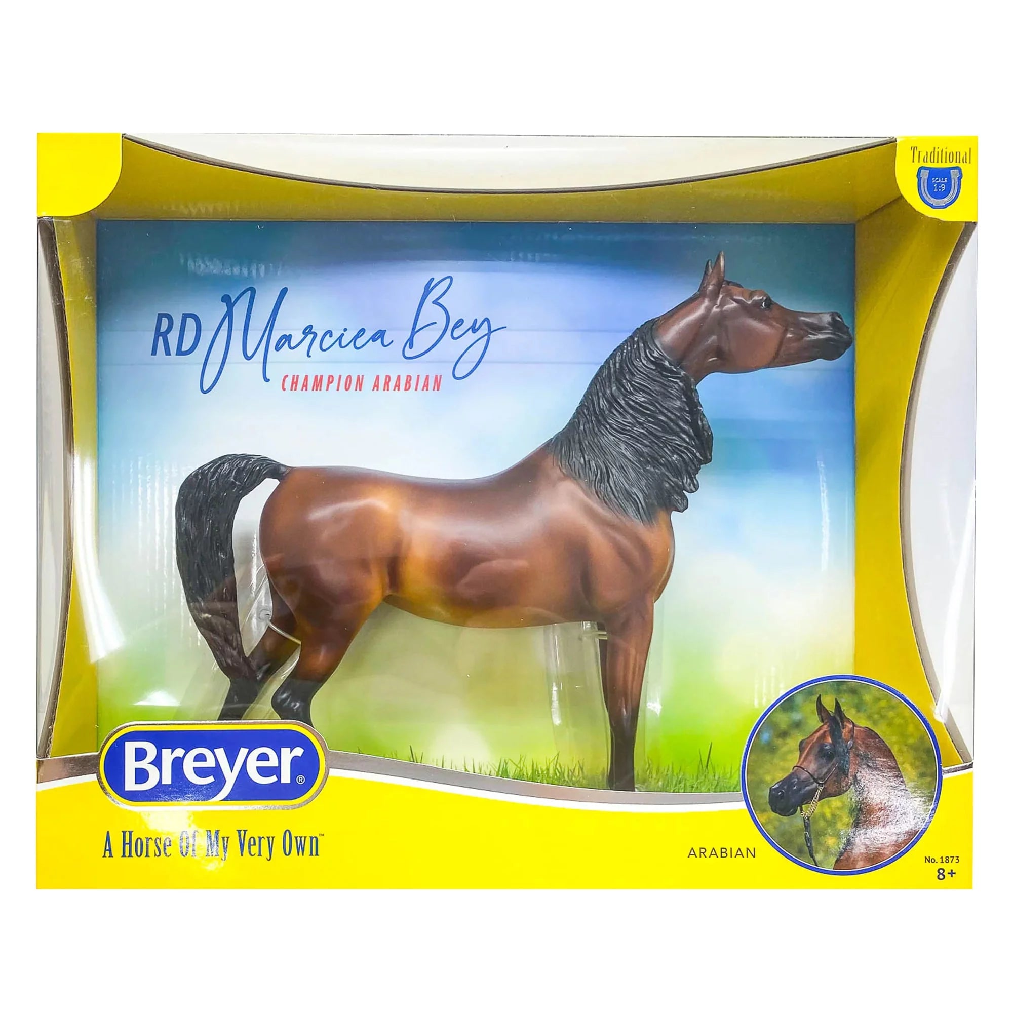 The Traditional Series - RD Marciea Bey, Champion Arabian