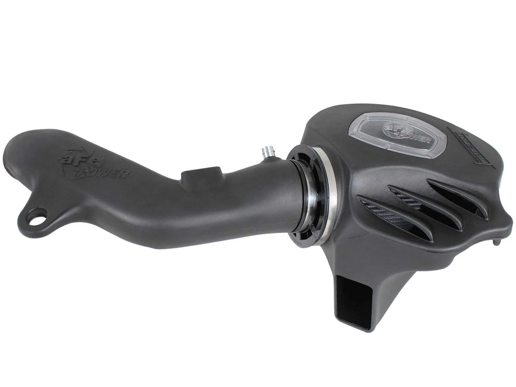 Momentum Cold Air Intake System w/ Pro DRY S Filter