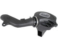 Momentum Cold Air Intake System w/ Pro DRY S Filter