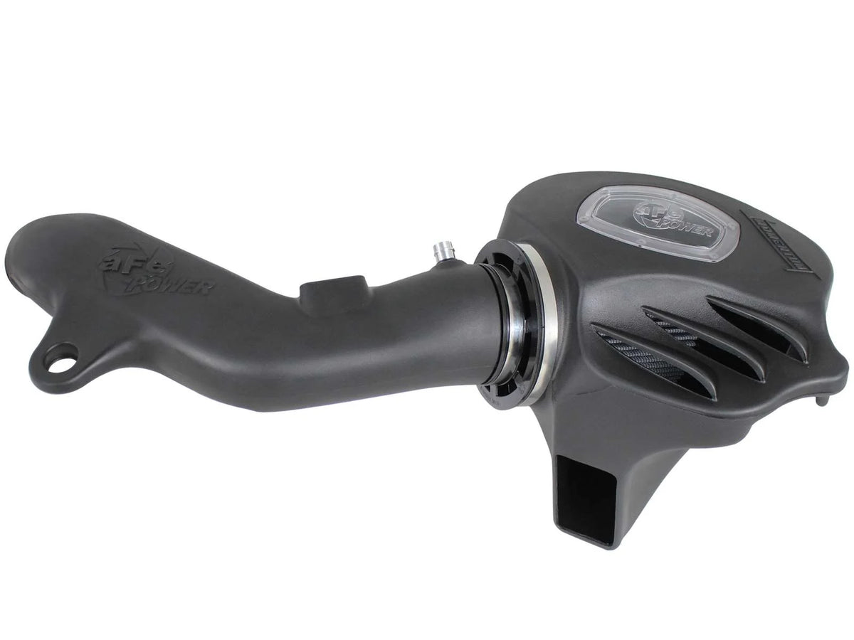 Momentum Cold Air Intake System w/ Pro DRY S Filter