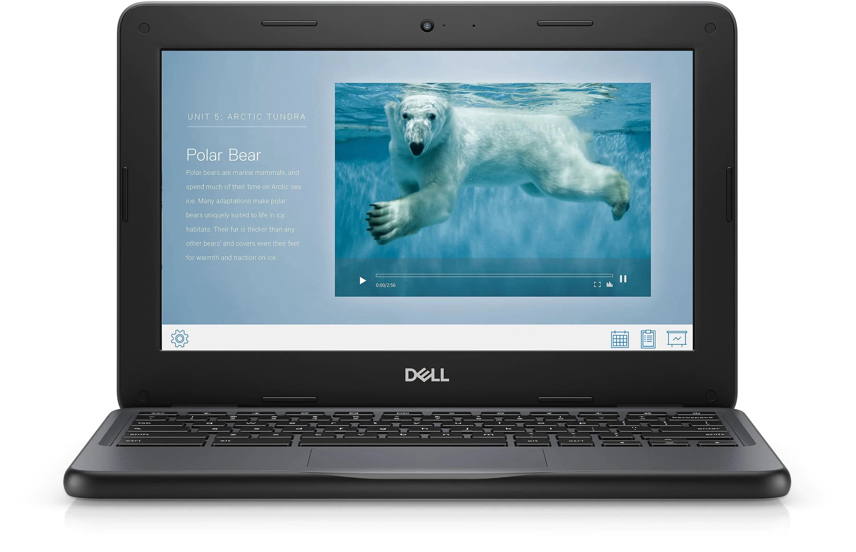 Used Dell Chromebook 3100 11.6" Chromebook Intel Celeron 1.10 GHz 4GB 16 GB Chrome OS(Refurbished - Good)