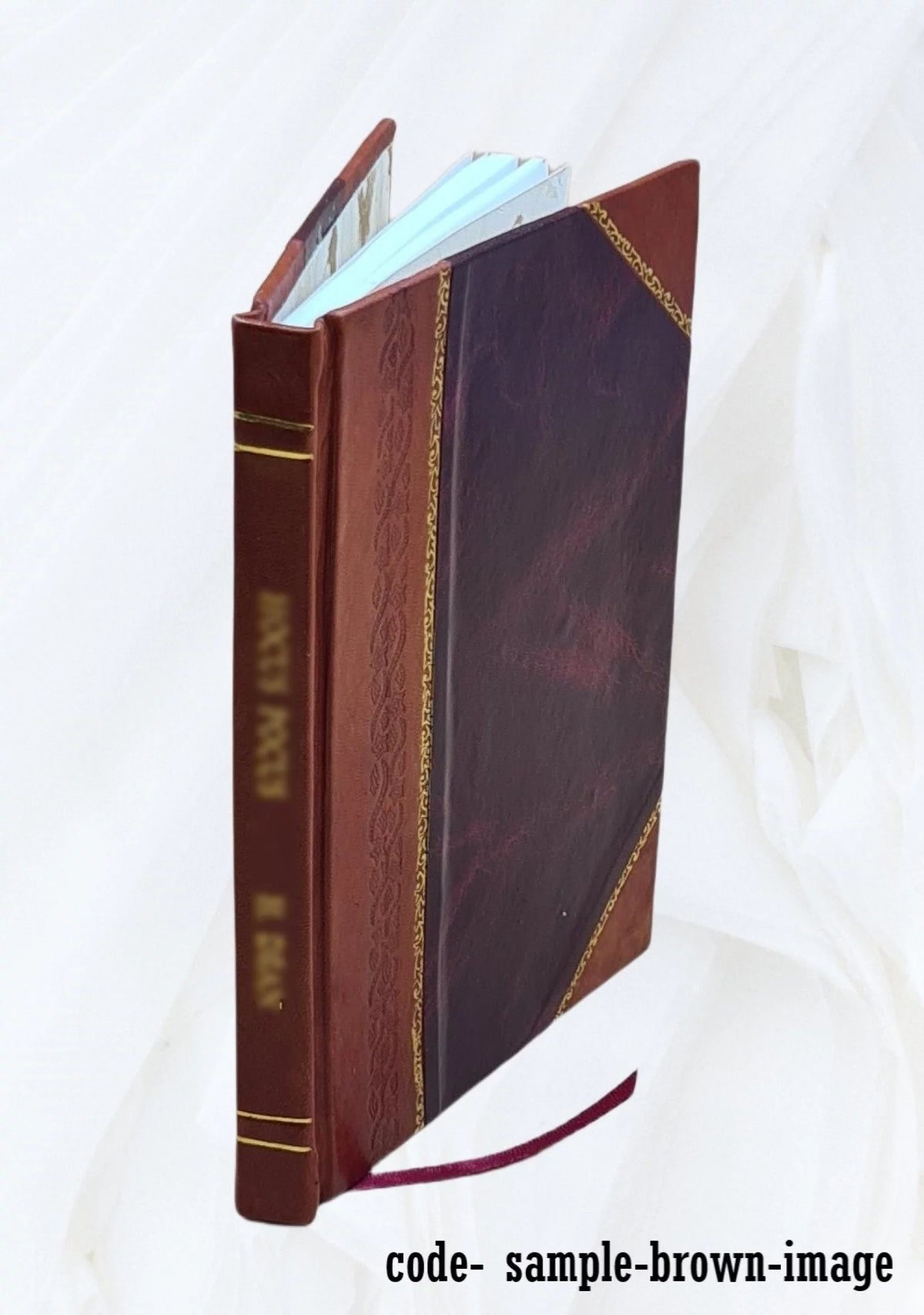 Observations de la grande nébuleuse d'Orion : faites à Cazan et à Poulkova / par O. Struve. Volume c.1 1862 [Leather Bound]