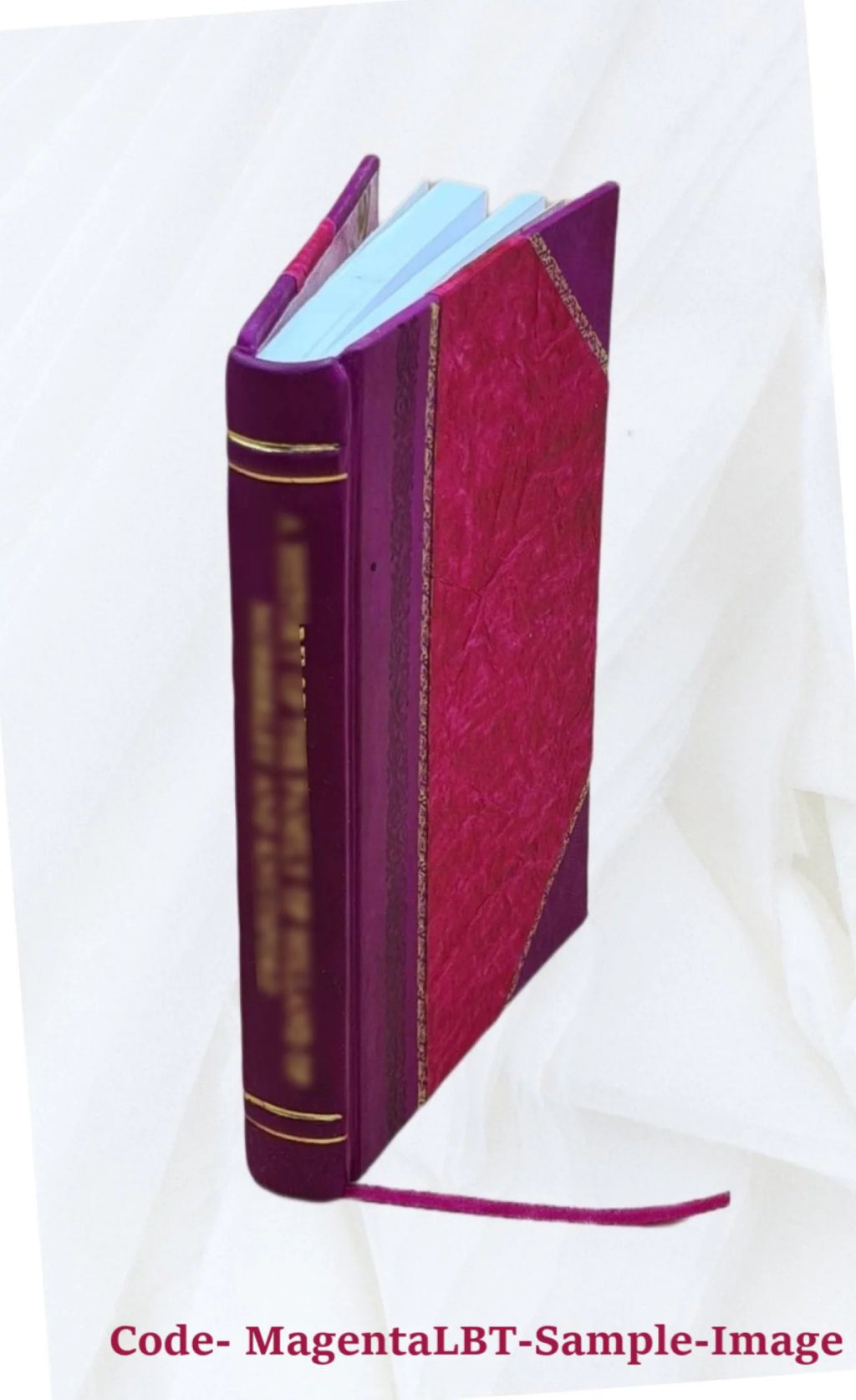 M. Tulli Ciceronis Brutus, De claris oratoribus 1886 [Leather Bound]