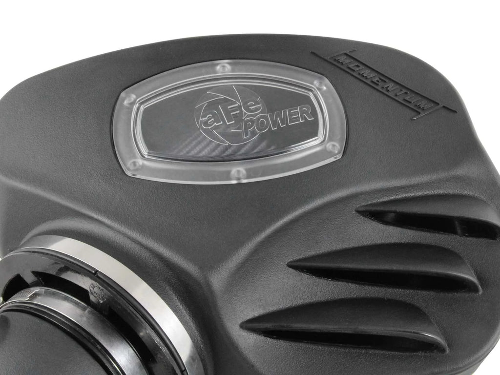Momentum Cold Air Intake System w/ Pro DRY S Filter