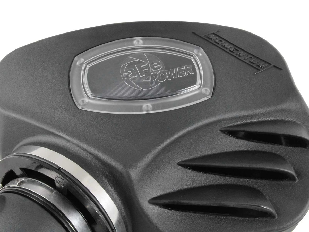 Momentum Cold Air Intake System w/ Pro DRY S Filter