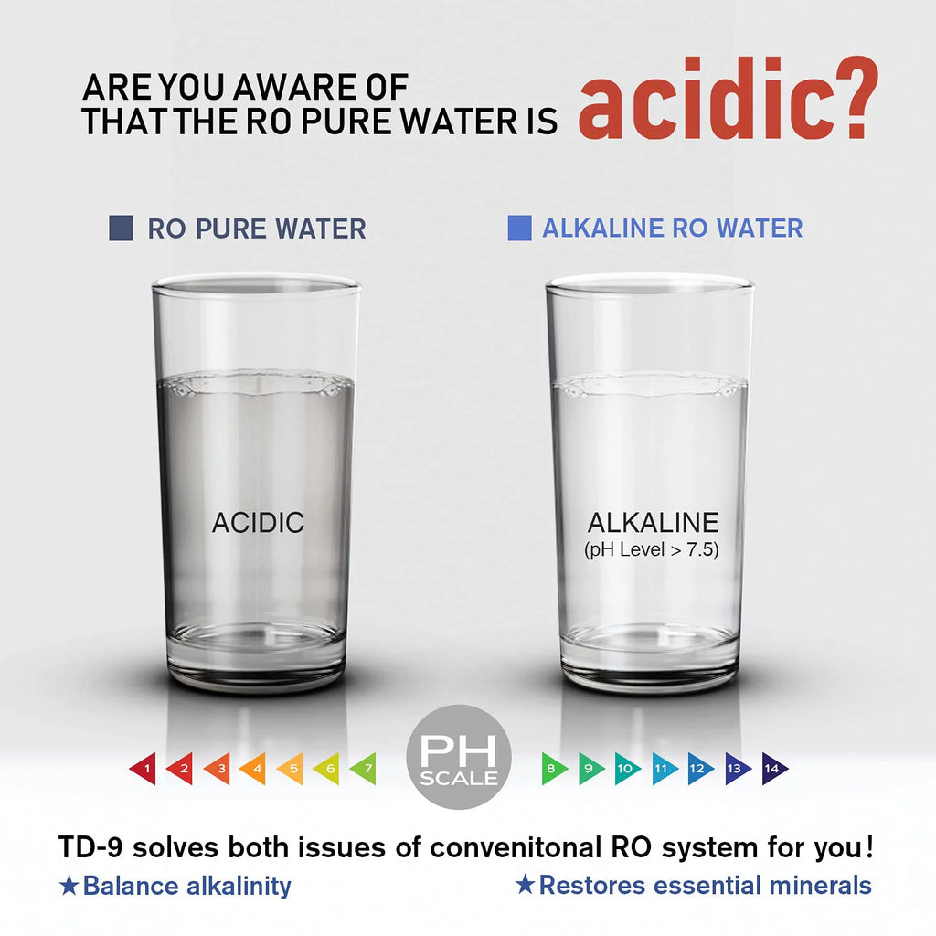 Frizzlife TD-9 Alkaline Remineralization Under Sink Inline Water Filter - Quick Twist Post Filter for RO System