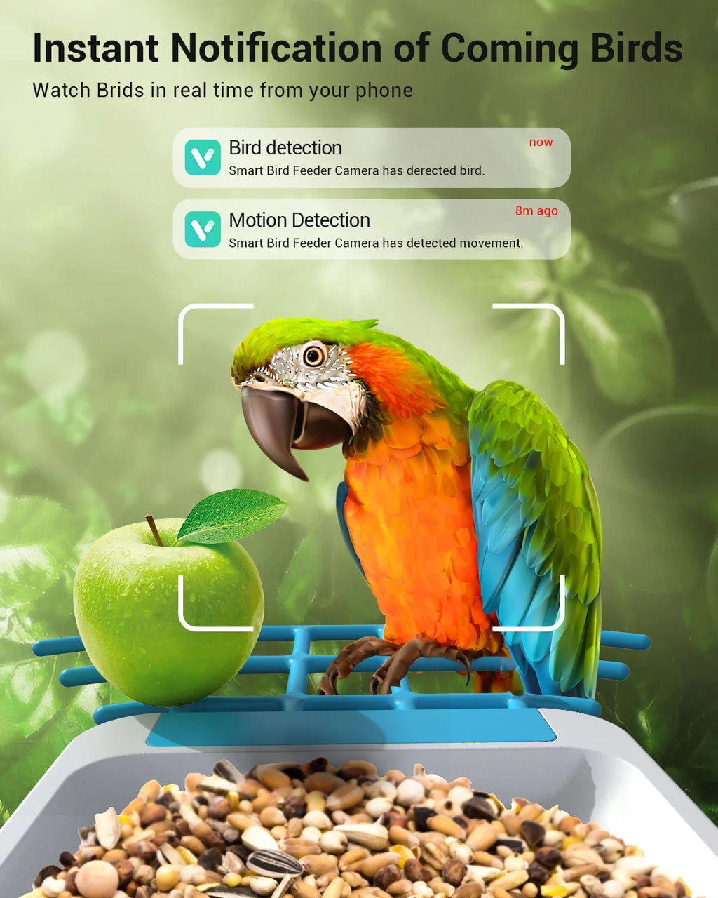 TMEZON Smart Bird Feeder with Camera, Bird Feeder House with 1080P Battery Security Camera Solar Powered Auto Capture Bird Videos Wireless Outdoor