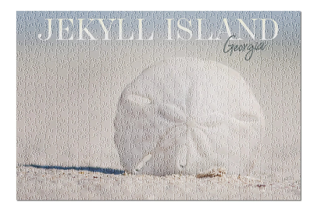 Jekyll Island, Georgia, Sand Dollar on Beach (19x27 inches, Premium 500 Piece Jigsaw Puzzle for Adults and Family, Made in USA)