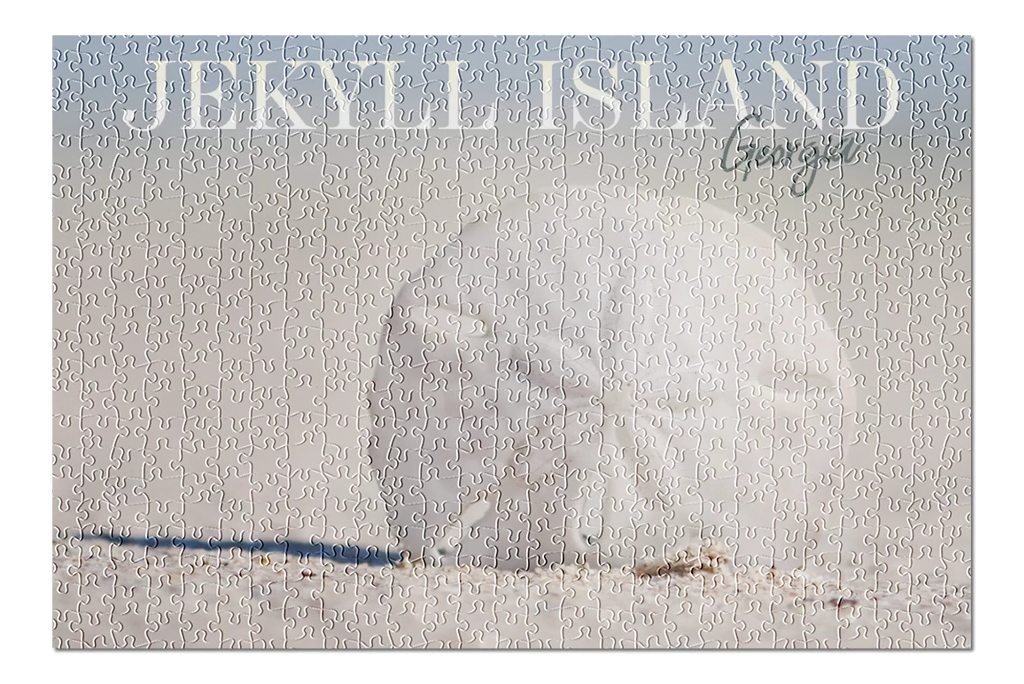 Jekyll Island, Georgia, Sand Dollar on Beach (19x27 inches, Premium 500 Piece Jigsaw Puzzle for Adults and Family, Made in USA)