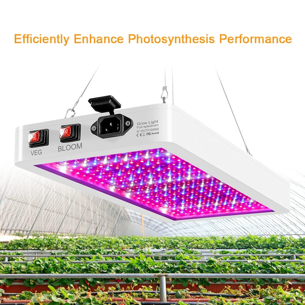 Htovila 2000W LED Grow Light for Indoor Plants 312 LEDs Full Spectrum Veg and Bloom Dual Switch IP65 Waterproof Hanging Plant Growing Lamps for Seedlings Flowers Greenhouse