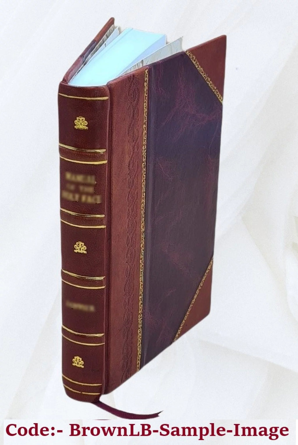 C. Erasmi Michaelii Laeti Colloquiorum moralium libri IIII 1573 [Leather Bound]