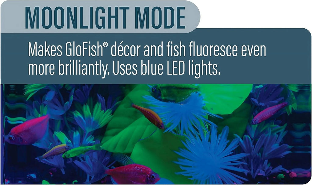LED Light 5 Gallons, Blue And White LED Lights, For Aquariums Up To 5 Gallons, Model:29028