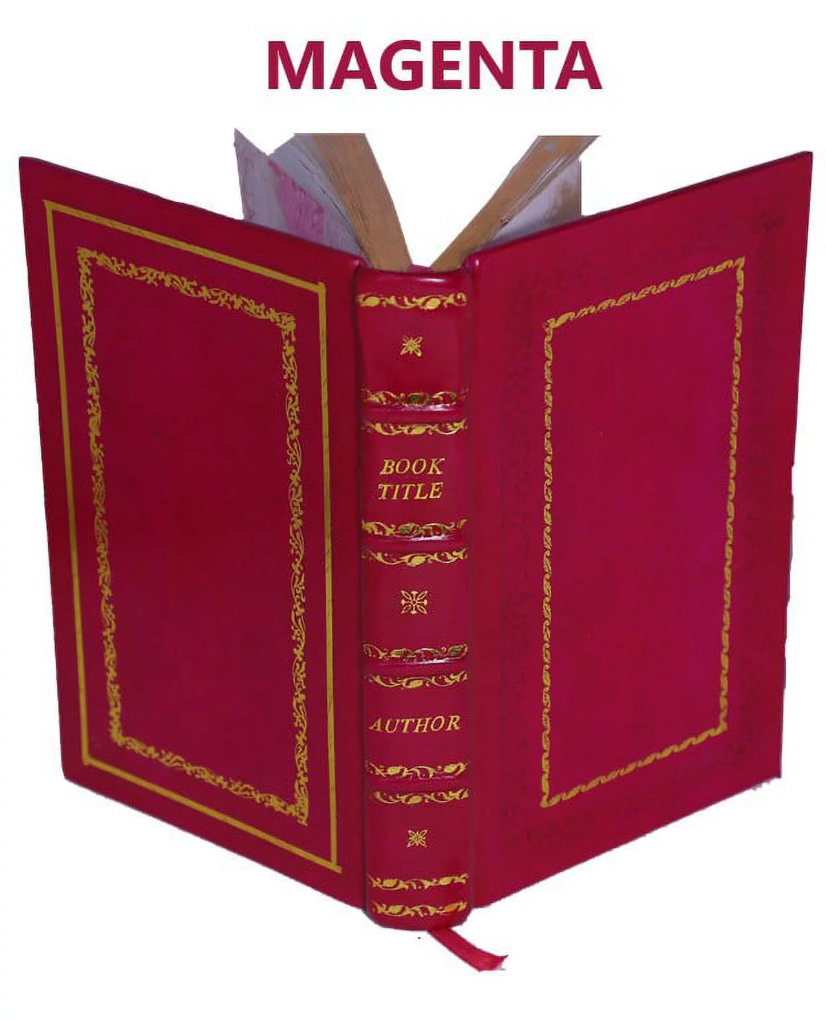 Les Vies des S.S. Peres des deserts et saintes solitaires d'Orient et d'Occident Volume 2 1714 [Premium Leather Bound]