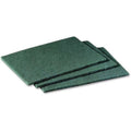 Scotch-Brite  6 x 9 in. General Purpose Scrubbing Pad - Green