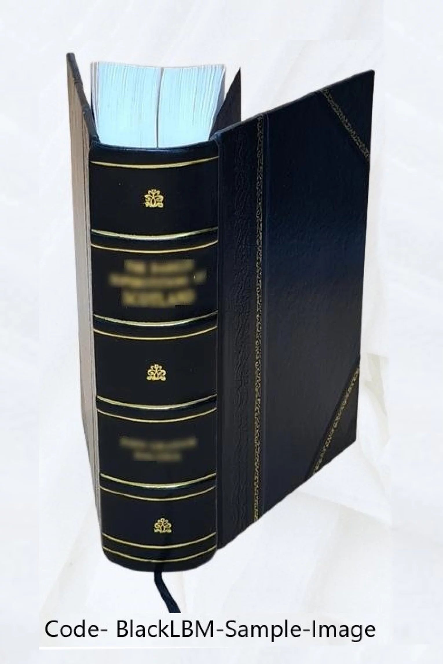 Petőfi Sándor. 1926 [Leather Bound]