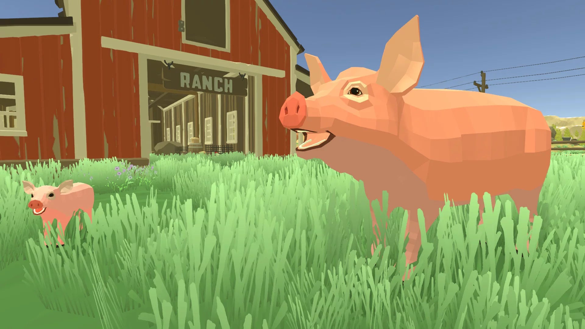 Harvest Days, Nintendo Switch