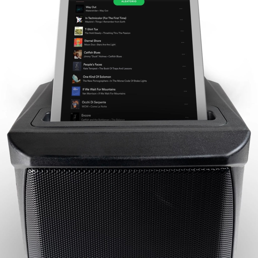 Gemini GPSS-650 Battery-Powered PA System