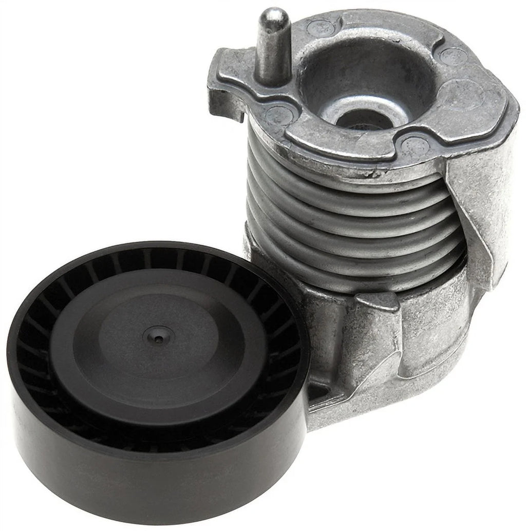 ACDelco Automatic Belt (B)